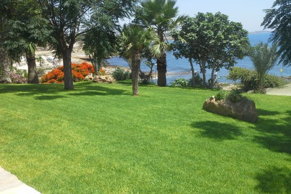 Investment – 2 Seafront Villas
